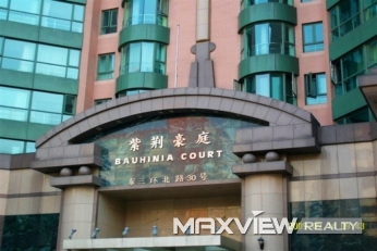 Bauhinia Court | 紫荆豪庭 5bedroom 525sqm ¥80,000 BJ000233