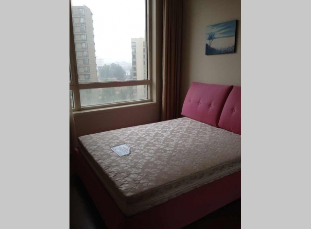 Park Avenue | 公园大道 3bedroom 197sqm ¥35,000 CY200551