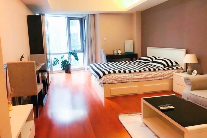 Mixion Residence 1bedroom 55sqm ¥12,000 PRS232