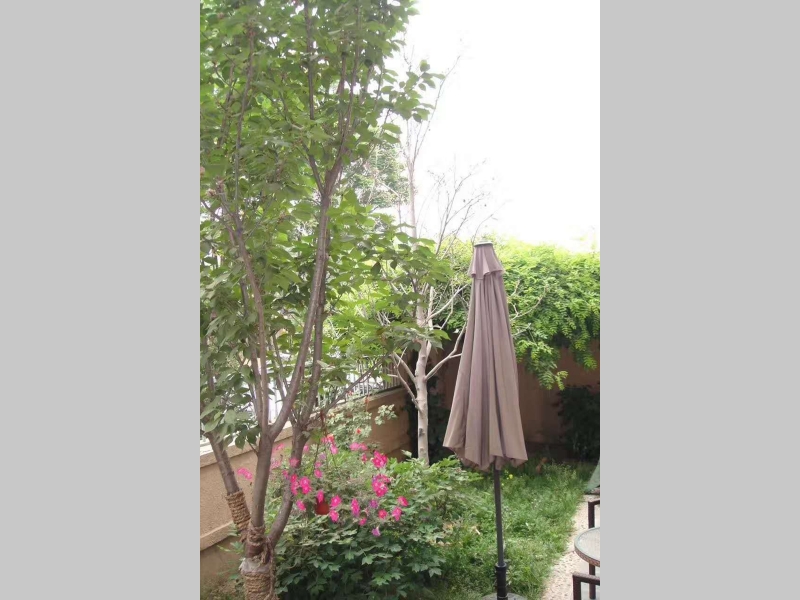 Beijing villa rent Beijing Riviera &nbsp;4bedroom&nbsp;320sqm&nbsp;&yen;45,000&nbsp;BJ0002671